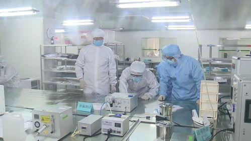 高淳区2019年度区长质量奖揭晓 四家企业脱颖而出，医疗器械研发成亮点